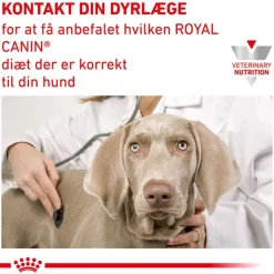 Royal Canin Veterinary Canine Urinary S/O
