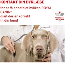 Royal Canin Veterinary Canine Urinary S/O Moderate Calorie