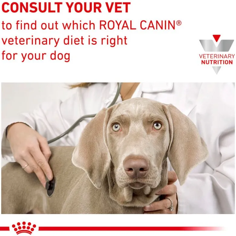 Royal Canin Veterinary Canine Anallergenic Small Dog