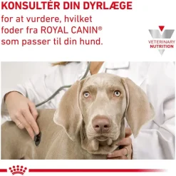 Royal Canin Veterinary Canine Renal i sauce