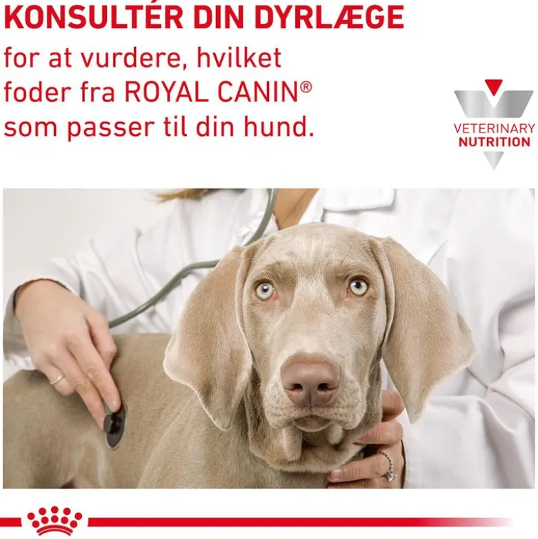 Royal Canin Veterinary Canine Renal i sauce