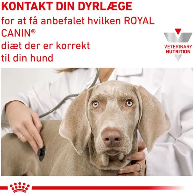 Royal Canin Veterinary Canine Urinary Moderate Calorie