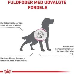 Royal Canin Veterinary Canine Cardiac Mousse