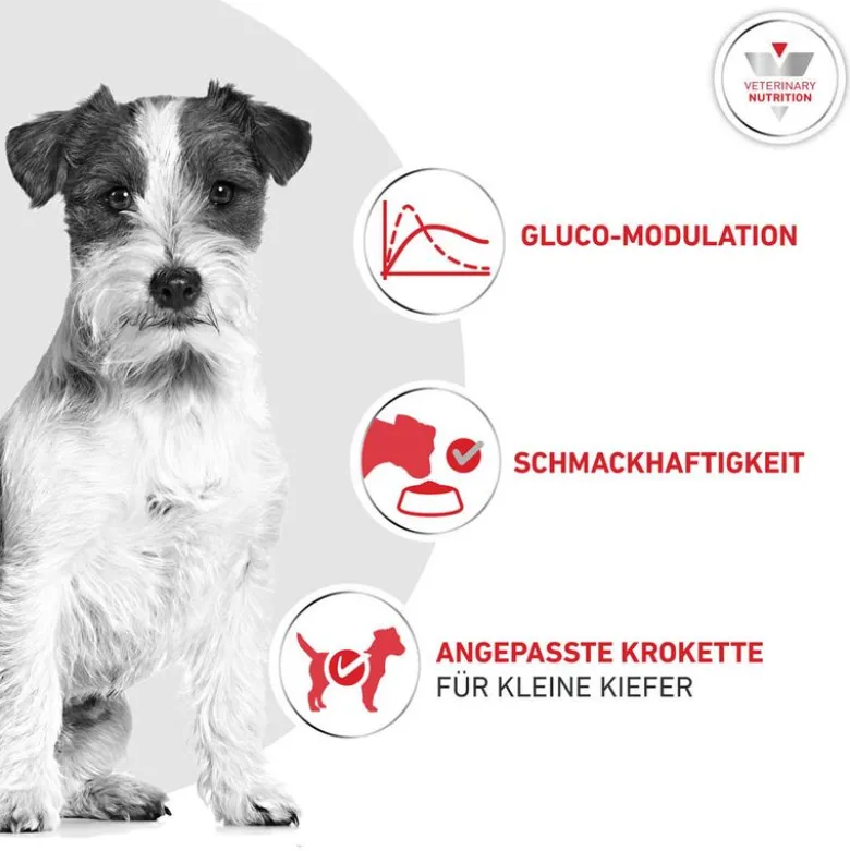 Royal Canin Veterinary Canine Glycobalance Small Dog