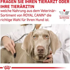 Royal Canin Veterinary Canine Hepatic Mousse