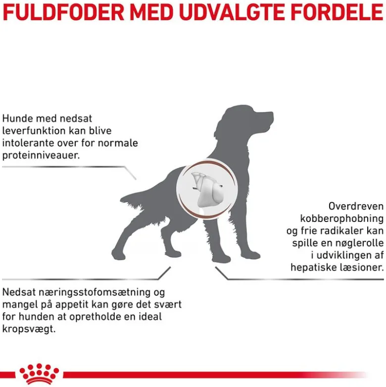Royal Canin Veterinary Diet Hepatic