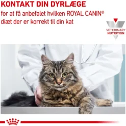 Royal Canin Veterinary Feline Satiety Weight Management i sauce