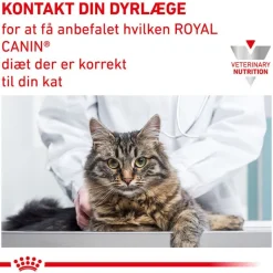 Royal Canin Veterinary Feline Urinary S/O