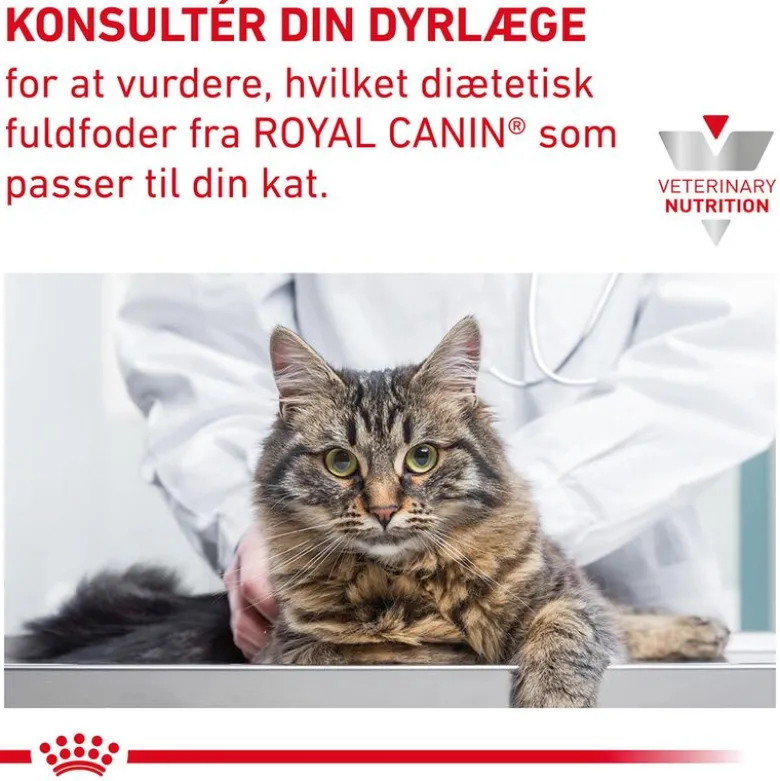 Royal Canin Veterinary Feline Gastrointestinal Hairball