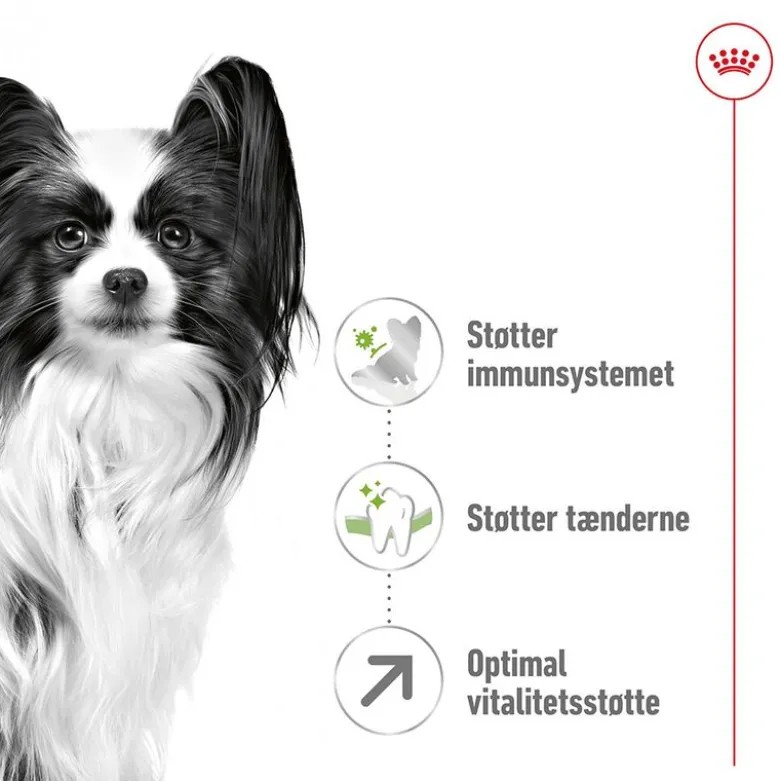Royal Canin X-Small Adult 8 +