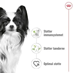 Royal Canin X-Small Adult