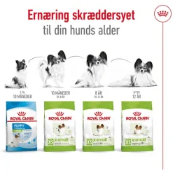 Royal Canin X-Small Adult