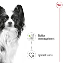 Royal Canin X-Small Adult in Soße