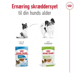 Royal Canin X-Small Adult in Soße