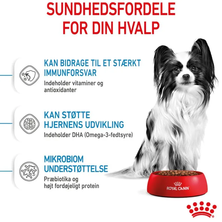 Royal Canin X-Small Puppy