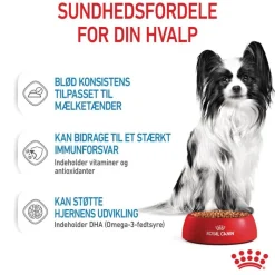Royal Canin X-Small Puppy i sauce