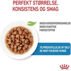 Royal Canin X-Small Puppy i sauce