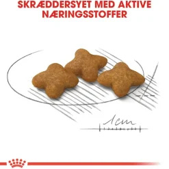 Royal Canin X-Small Sterilised