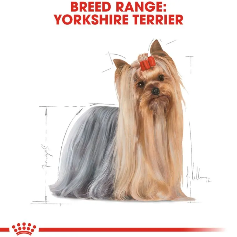 Royal Canin Yorkshire Terrier Adult