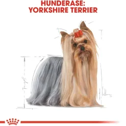 Royal Canin Yorkshire Terrier Adult Mousse