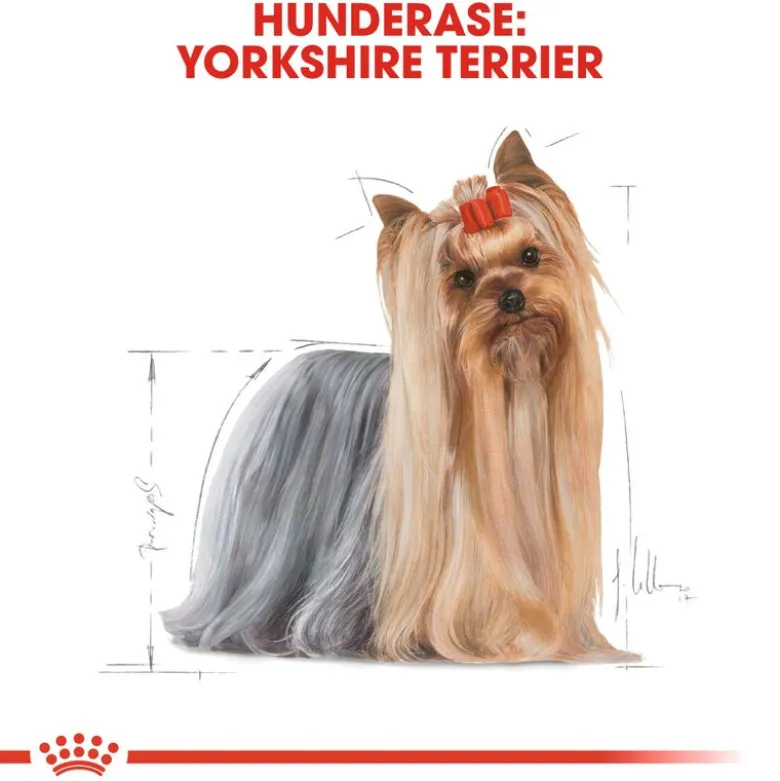 Royal Canin Yorkshire Terrier Adult Mousse