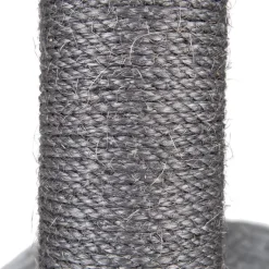 Royal Silver Kradsetræ