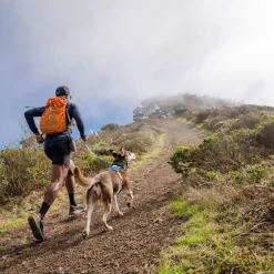 RUFFWEAR Flagline snor