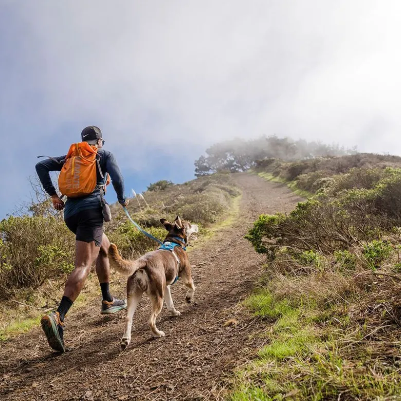 RUFFWEAR Flagline snor