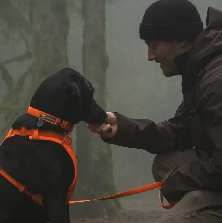 Ruffwear Front Range halsbånd, Blaze Orange