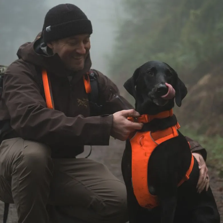 Ruffwear Front Range halsbånd, Blaze Orange