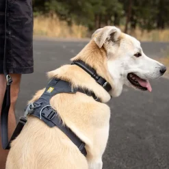Ruffwear Front Range hundesele, Basalt Gray