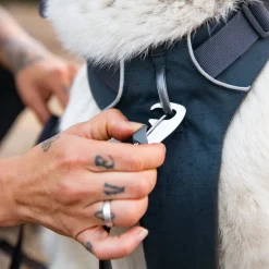 Ruffwear Front Range hundesele, Basalt Gray