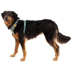 Ruffwear Front Range Hundesele, Spring Mountains