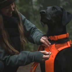 Ruffwear Front Range hundesnor, Blaze Orange