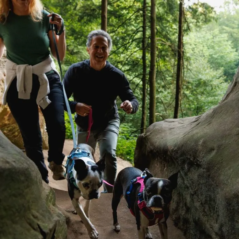 Ruffwear Hi & Light hundesele, Alpen Glow Pink