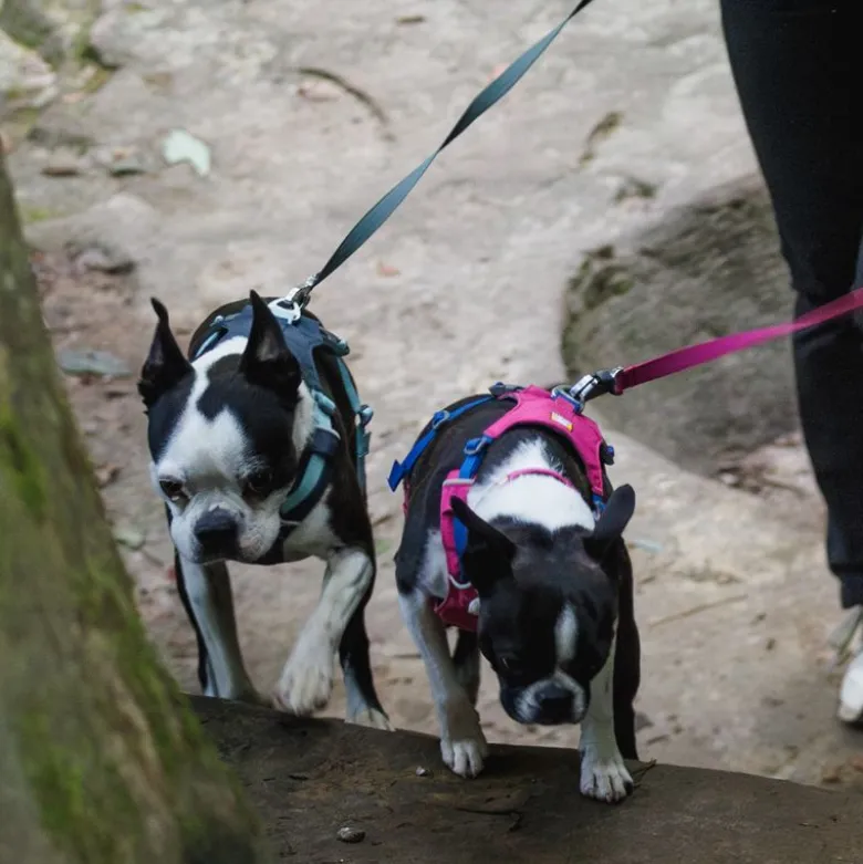 Ruffwear Hi & Light hundesele, basaltgrå