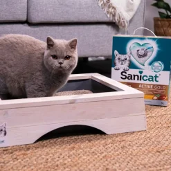 Sanicat Active Gold