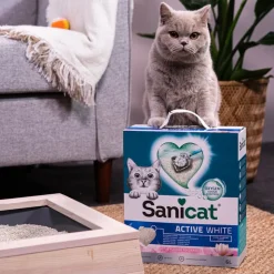 Sanicat Active White Lotus Flower