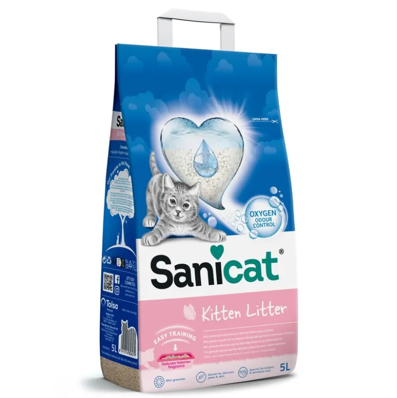 Sanicat Kitten