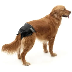 Savic Comfort Nappy hundeble