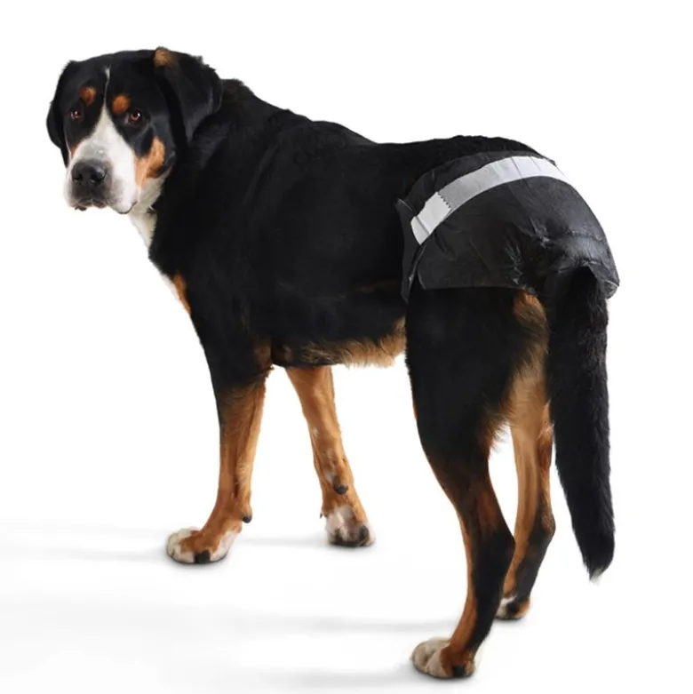 Savic Comfort Nappy hundeble