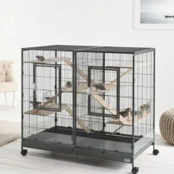 Savic gnaverbur Tasmania 120
