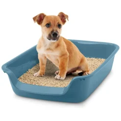 Savic Katte- og Hundetoilet Junior