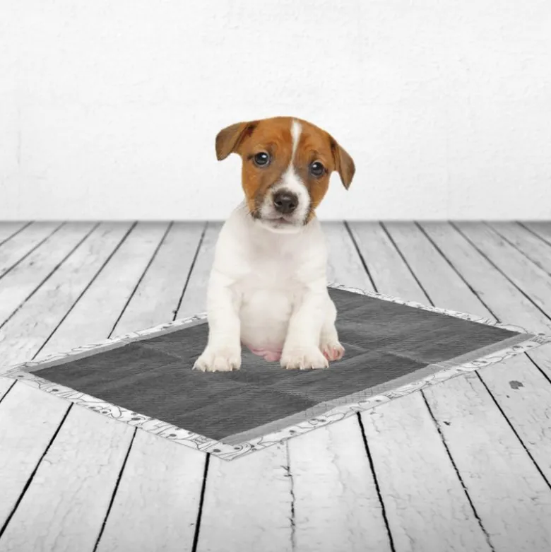 Savic Puppy Trainer Pads med aktivt kul