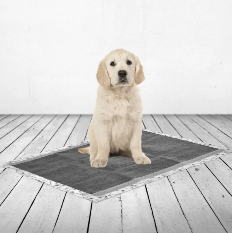 Savic Puppy Trainer Pads med aktivt kul