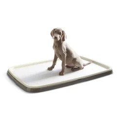 Savic Puppy Trainer Starter-sæt