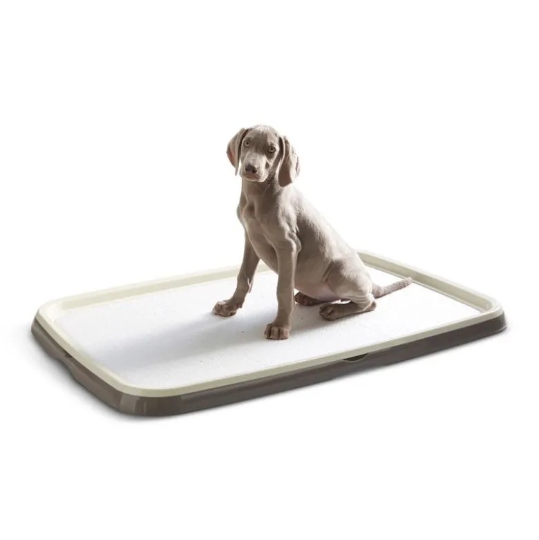 Savic Puppy Trainer Starter-sæt