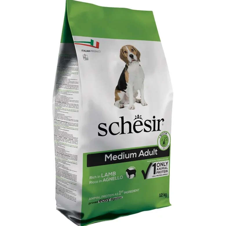 Schesir Hund Medium Voksen med lam