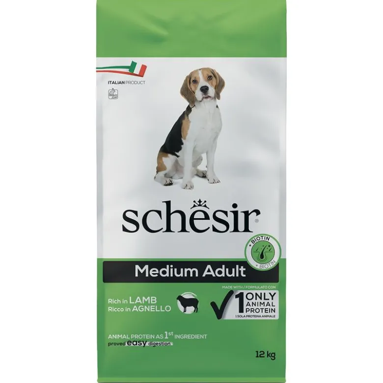 Schesir Hund Medium Voksen med lam