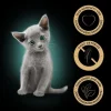 Sheba Kitten varianter i portionsposer 12 x 85 g